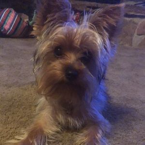 Meet your Posher, Megan